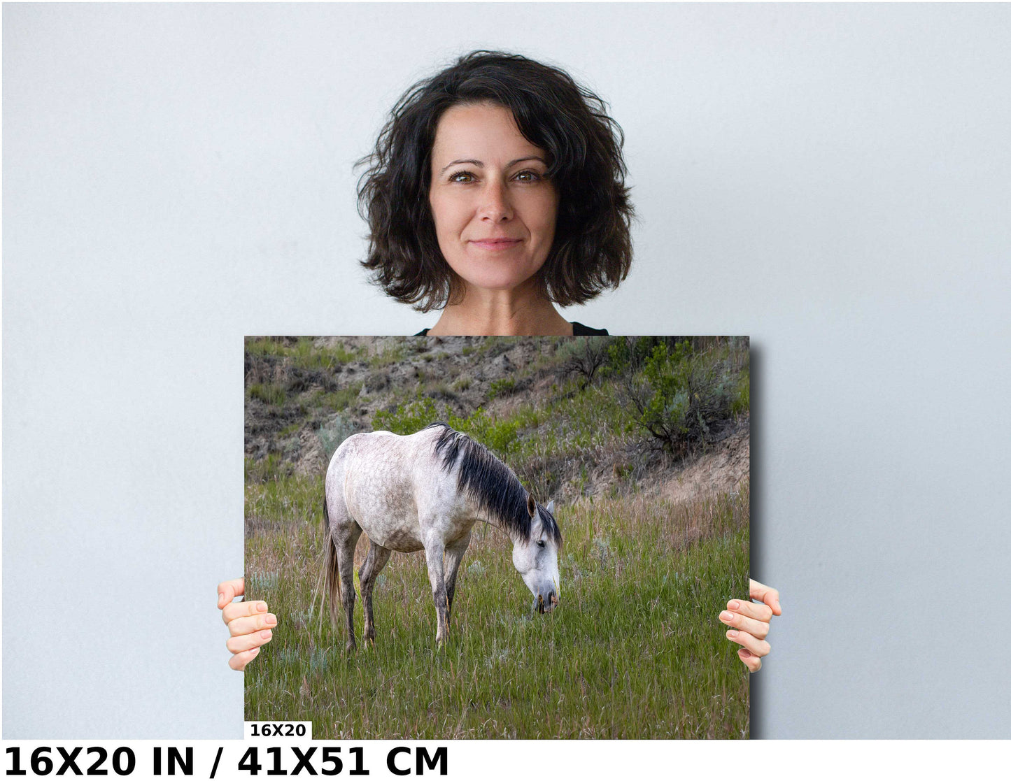 Badlands Ivory: White Horse Enjoying Grass in Theodore Roosevelt National Park Metal Acrylic Print North Dakota Wall Art