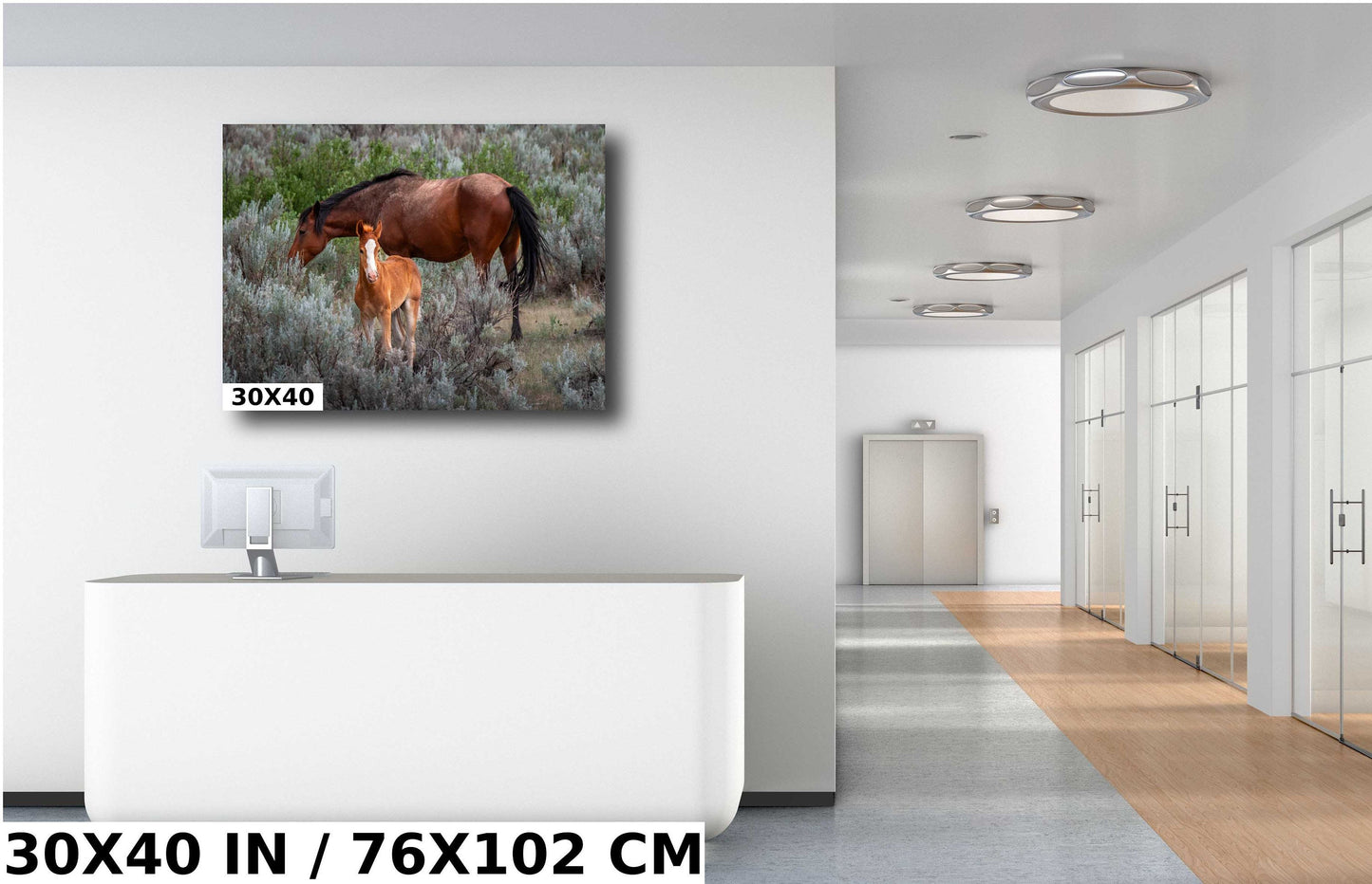 Generations in the Wild: Young and Adult Horses of Theodore Roosevelt National Park Metal Aluminum Print North Dakota Wall Art