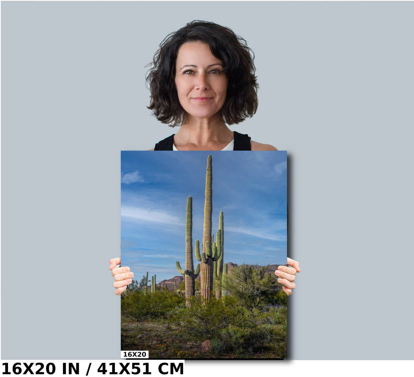 Standing Tall! Saguaro Cacti Standing Tall in Organ Pipe National Monument Metal Canvas Print Wall Art Arizona Desert