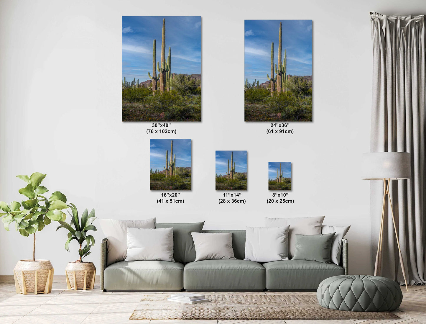 Standing Tall! Saguaro Cacti Standing Tall in Organ Pipe National Monument Metal Canvas Print Wall Art Arizona Desert