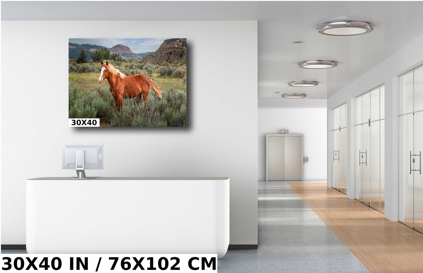 Majestic Mustang: Wild Stallion Roaming Theodore Roosevelt National Park Metal Canvas Print North Dakota Wall Art