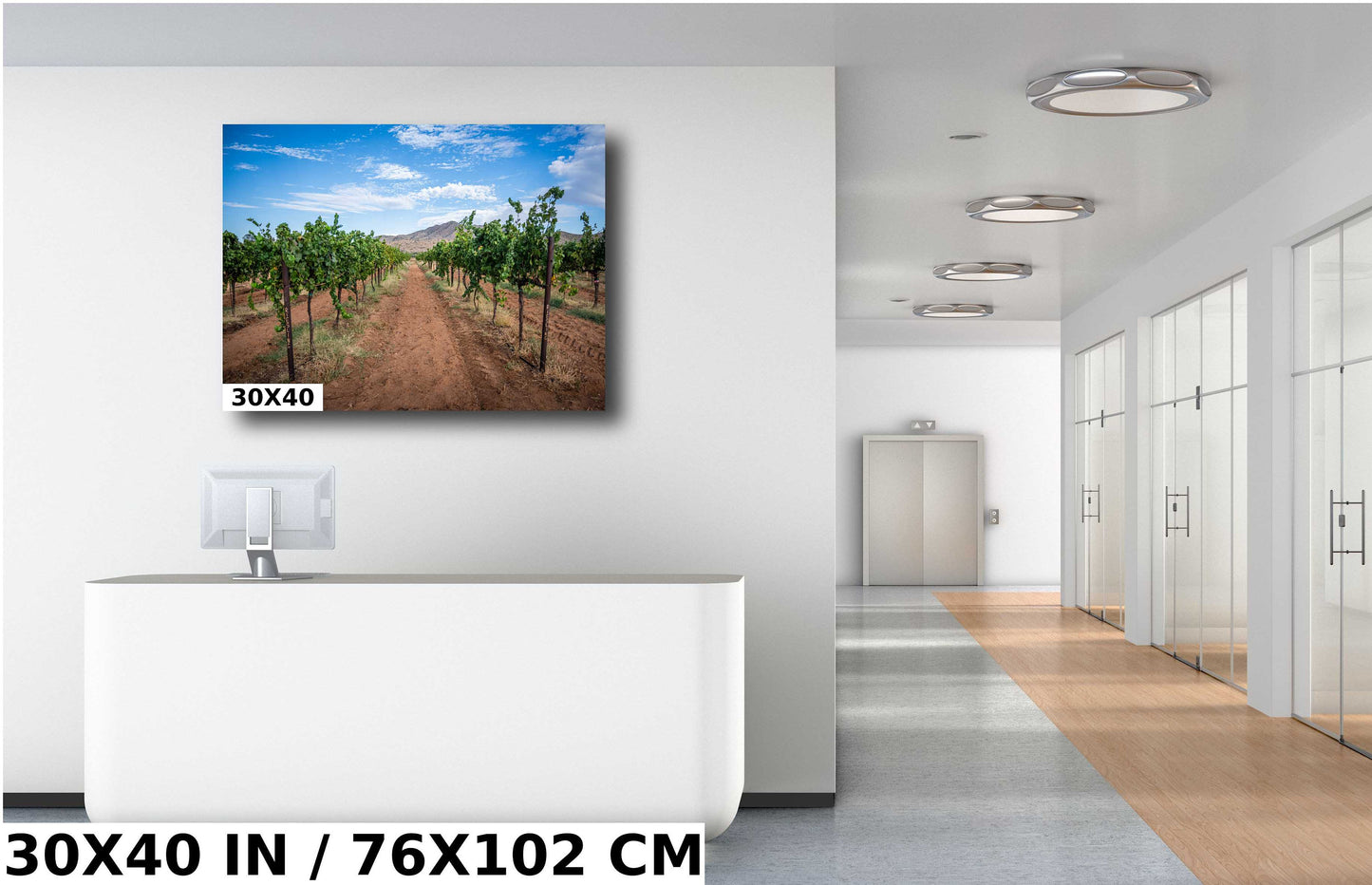 Arizona Wine Country: Coronado Vineyards in the Heart of Willcox Metal Aluminum Print Wall Art Arizona Landscape