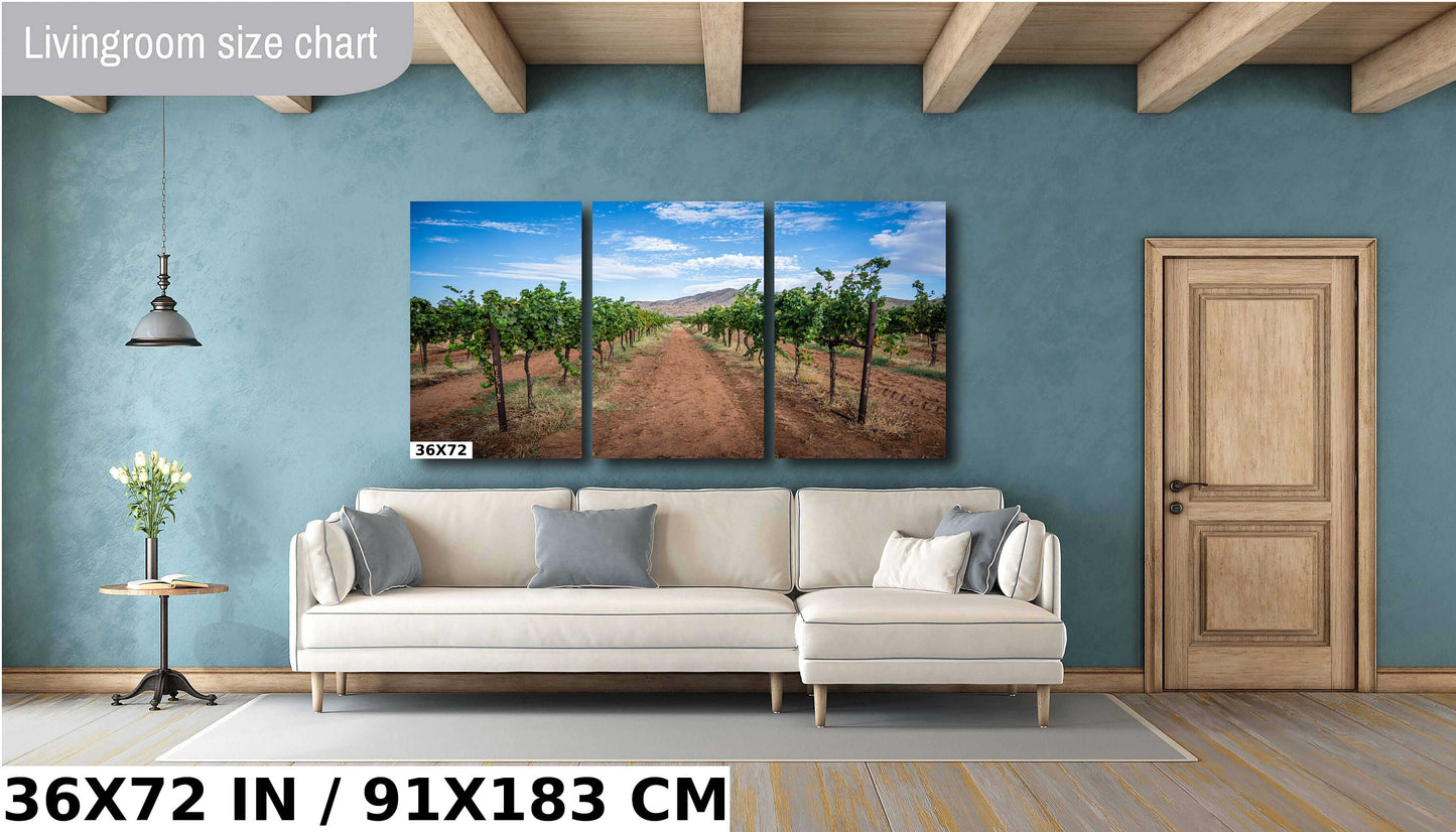 Arizona Wine Country: Coronado Vineyards in the Heart of Willcox Metal Aluminum Print Wall Art Arizona Landscape