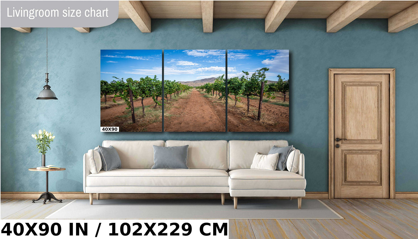 Arizona Wine Country: Coronado Vineyards in the Heart of Willcox Metal Aluminum Print Wall Art Arizona Landscape