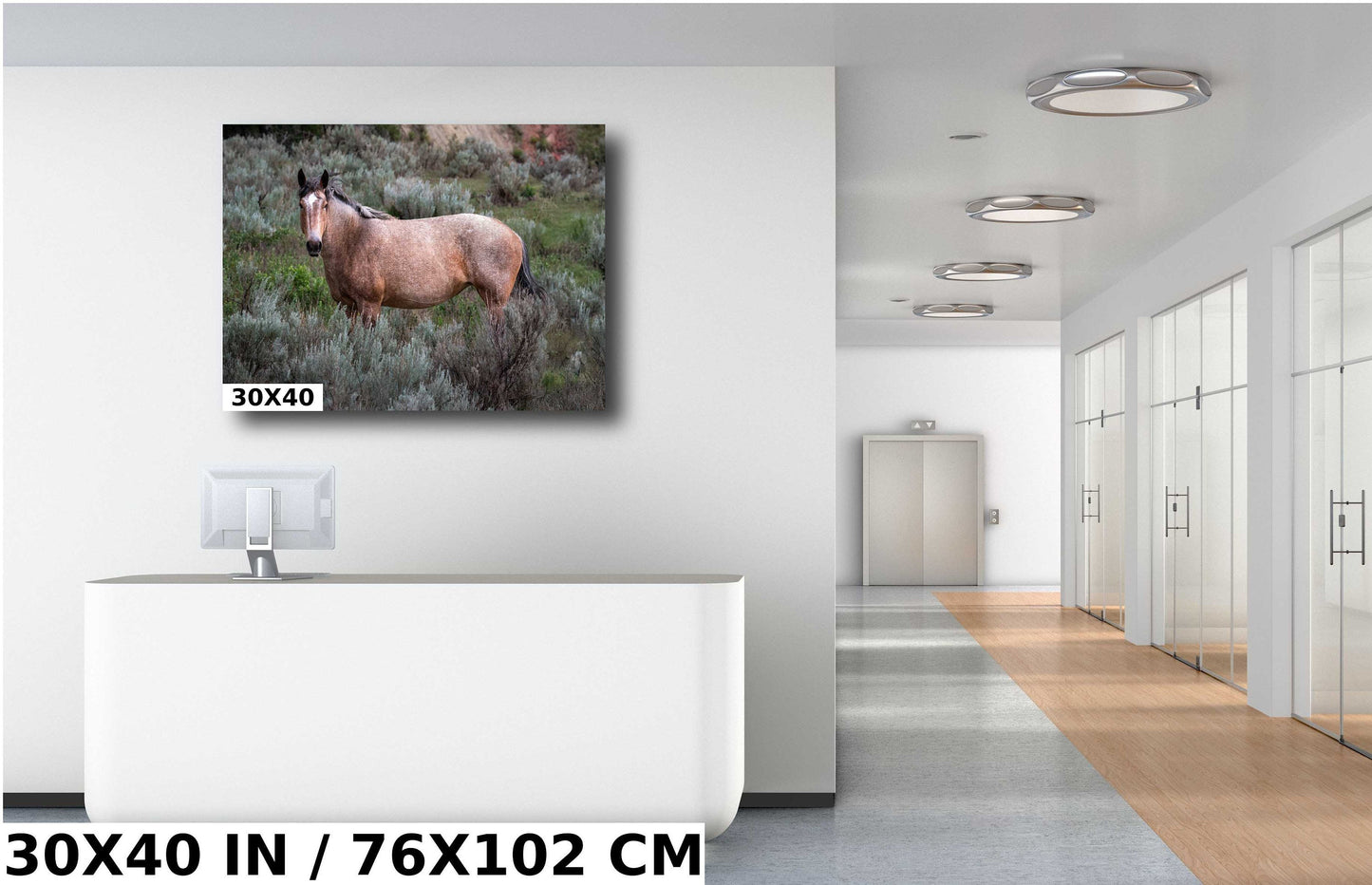 Grasslands Guardian: Stallion Amidst Wild Grass in Theodore Roosevelt Park Metal Canvas Print North Dakota Wall Art