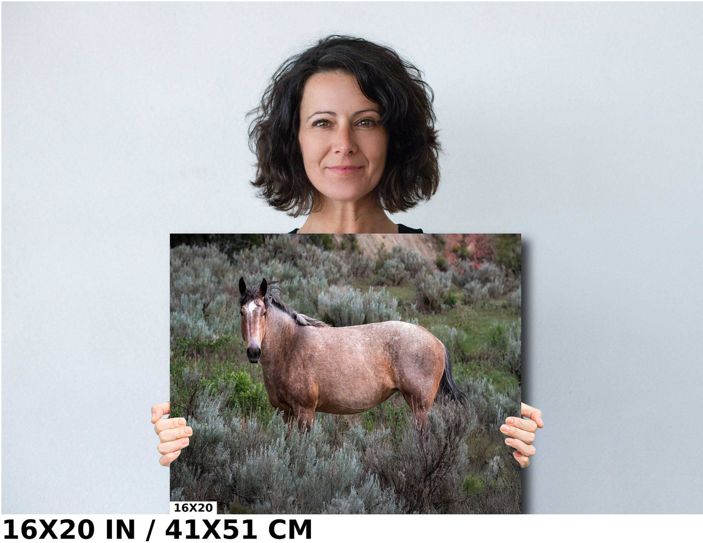 Grasslands Guardian: Stallion Amidst Wild Grass in Theodore Roosevelt Park Metal Canvas Print North Dakota Wall Art