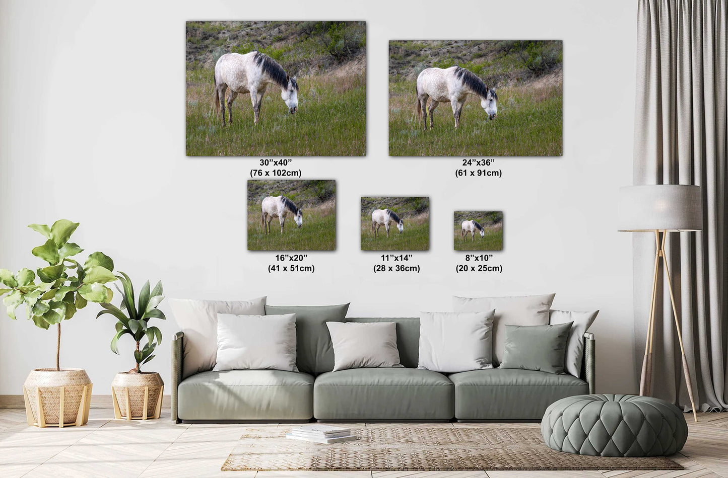 Badlands Ivory: White Horse Enjoying Grass in Theodore Roosevelt National Park Metal Acrylic Print North Dakota Wall Art