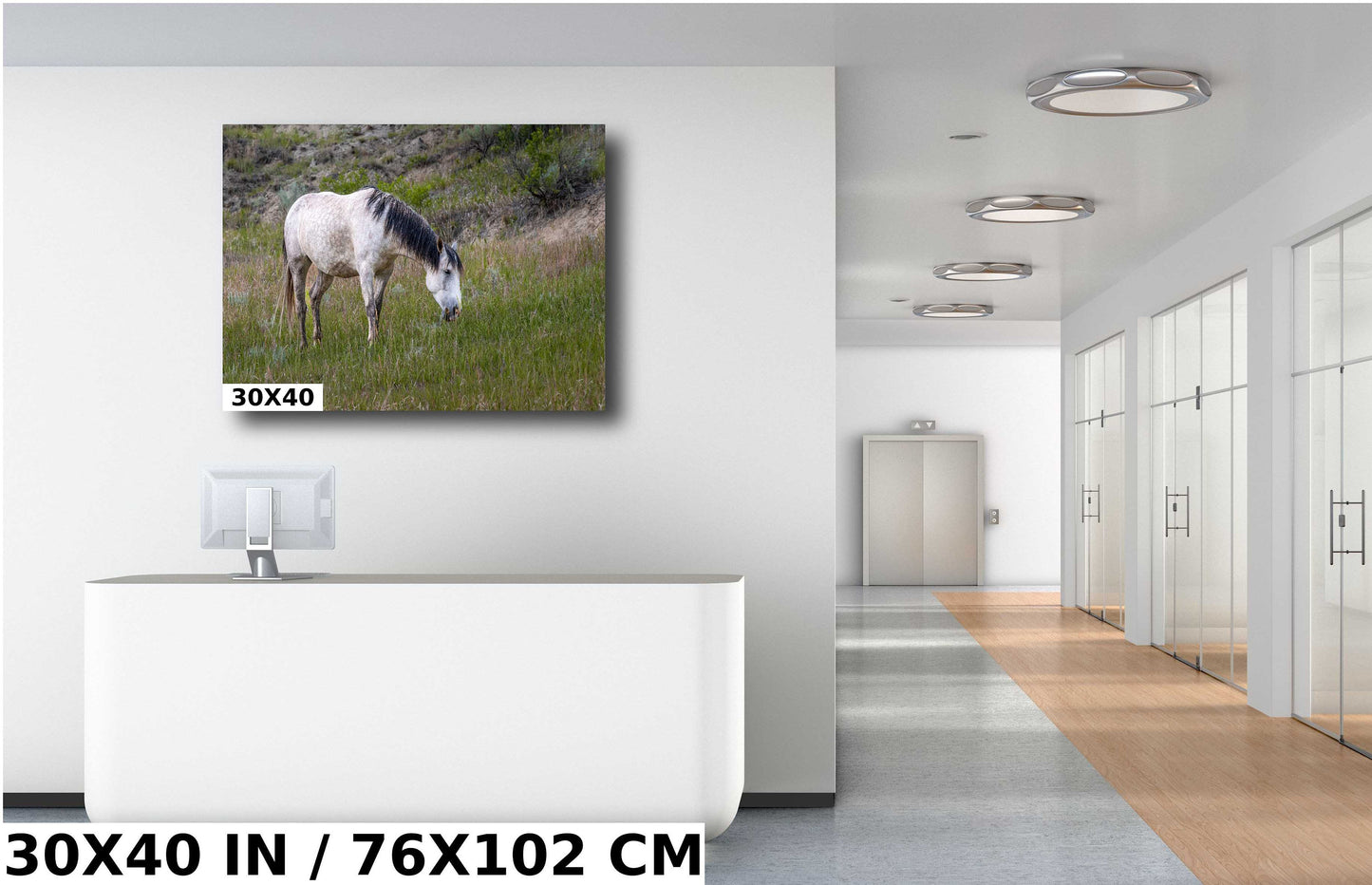 Badlands Ivory: White Horse Enjoying Grass in Theodore Roosevelt National Park Metal Acrylic Print North Dakota Wall Art