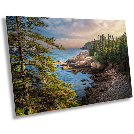 Green Serenity: Trees Framing a Quiet Lake in Acadia National Park Metal Acrylic Print Wall Art Maine Landscape Photography