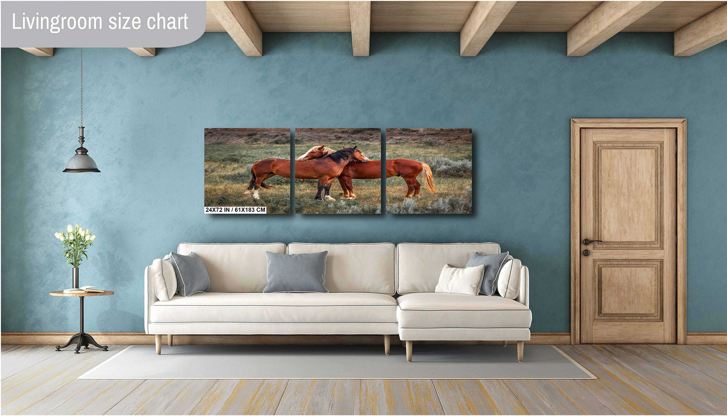 Loving Horses: Mare and Stallion Interaction Wall Art Metal Canvas Print Theodore Roosevelt Park North Dakota Horse Photography