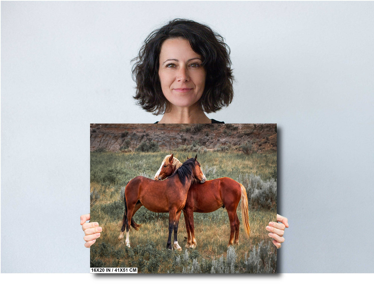 Loving Horses: Mare and Stallion Interaction Wall Art Metal Canvas Print Theodore Roosevelt Park North Dakota Horse Photography