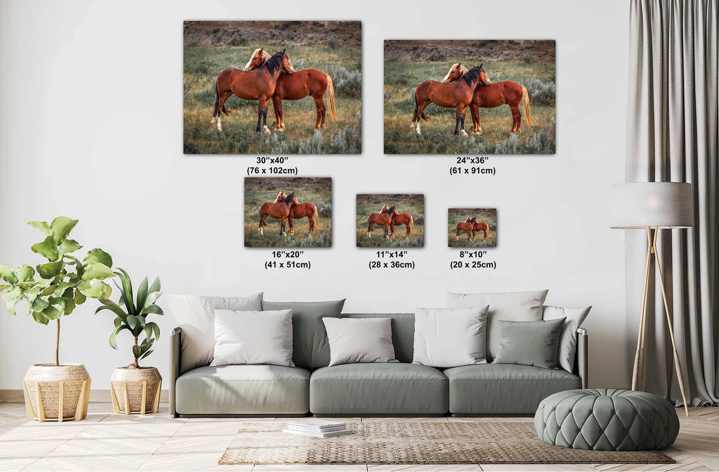 Loving Horses: Mare and Stallion Interaction Wall Art Metal Canvas Print Theodore Roosevelt Park North Dakota Horse Photography