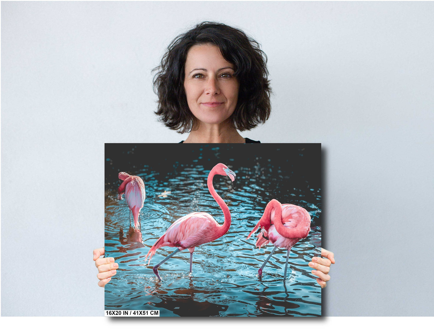 Bird Bath Time: Three Pink Flamingos Posing in the Water Wall Art Metal Canvas Print Bird Photography