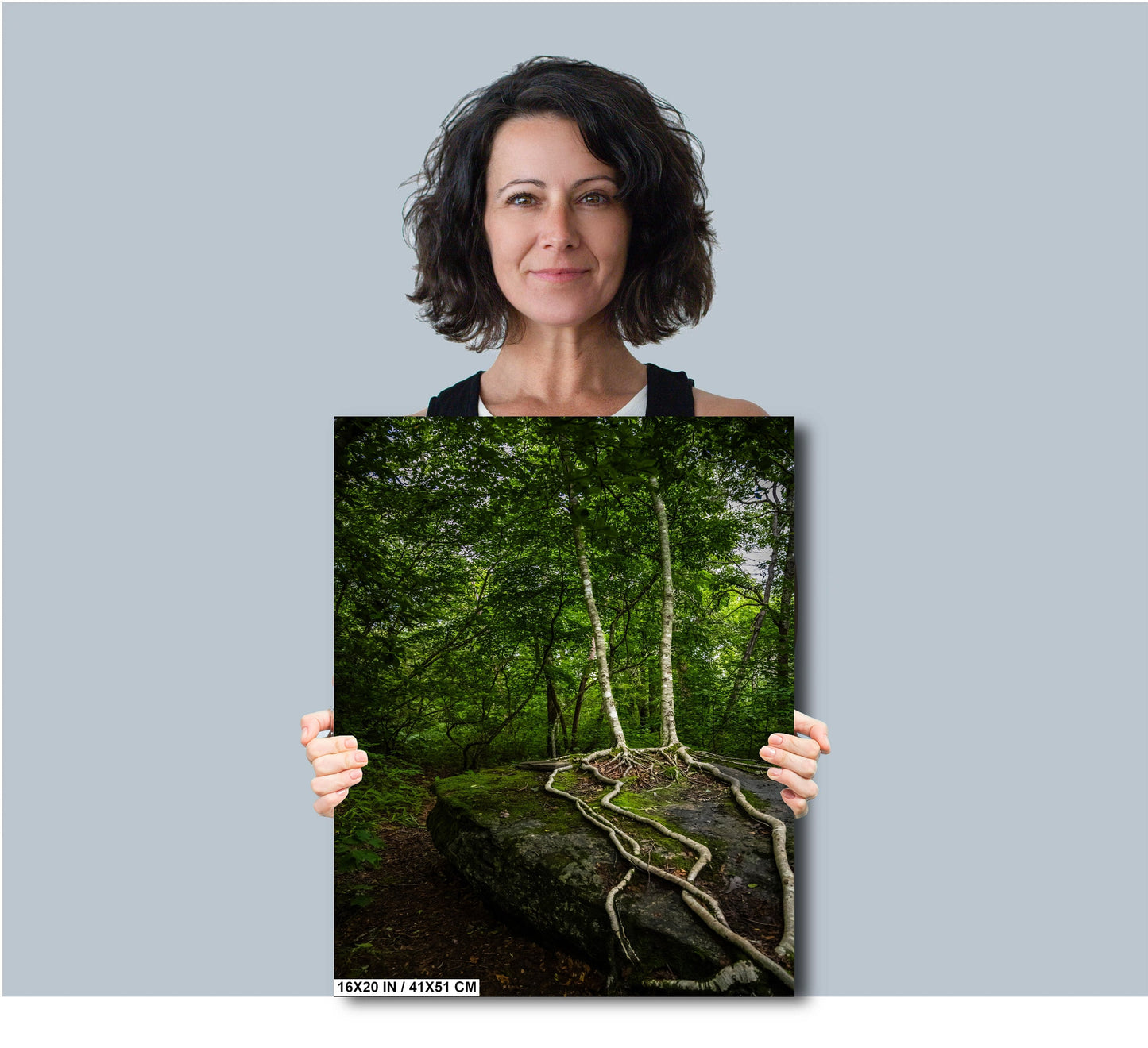 Loving Roots: Scaly Mountain on the Bartram Trail Roots of the Forest Wilderness North Carolina Wall Art Metal Canvas Print Home Decor