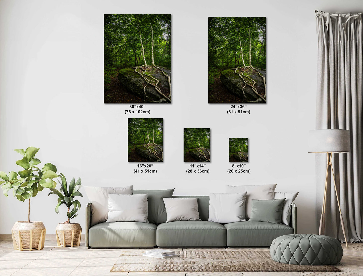 Loving Roots: Scaly Mountain on the Bartram Trail Roots of the Forest Wilderness North Carolina Wall Art Metal Canvas Print Home Decor