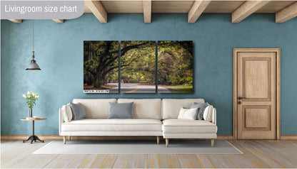 Mossy Motorway: Spanish Moss in Hilton Head Sea Pines Forest South Carolina Wall Art Metal Acrylic Print Nature Photography