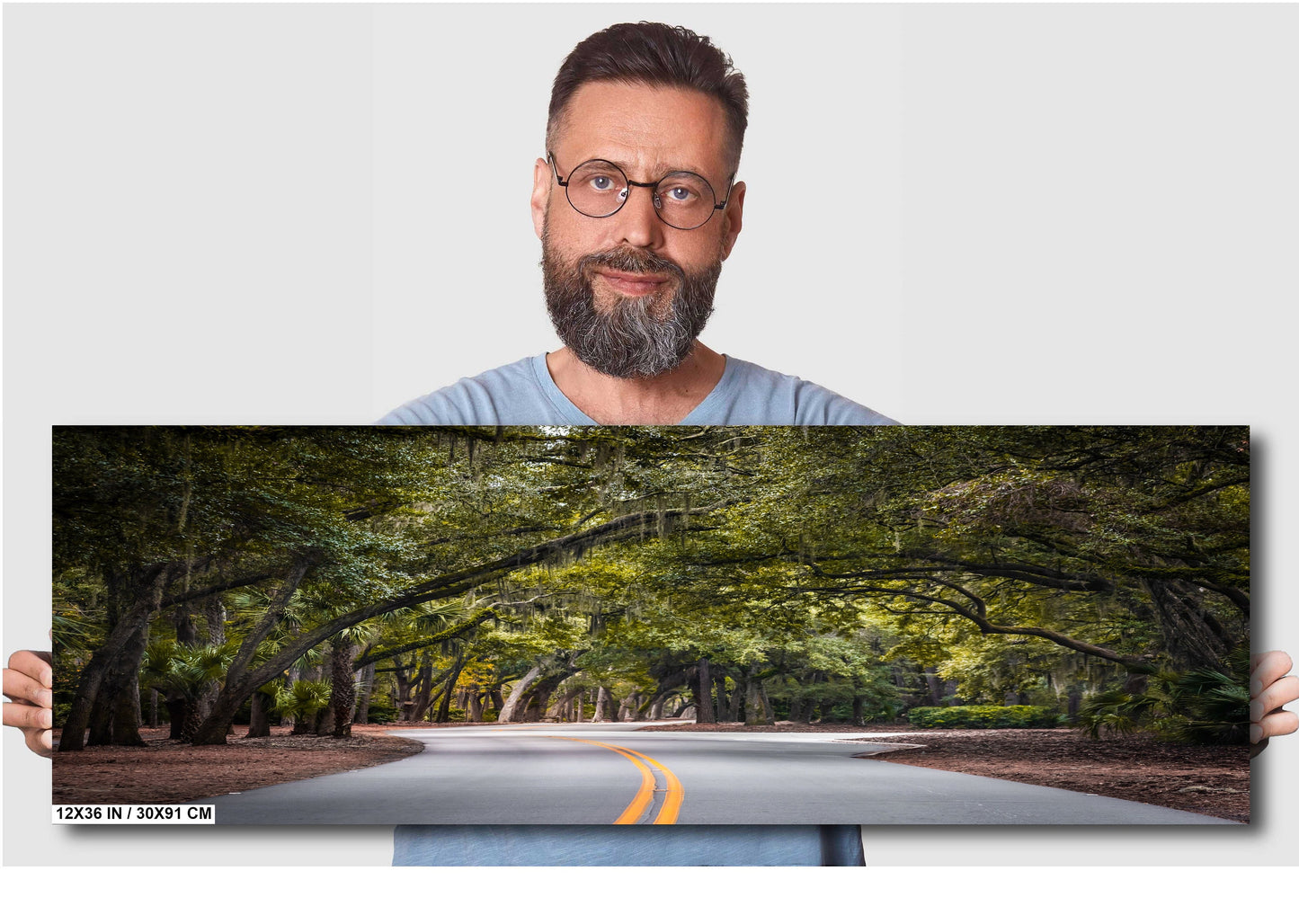 A Drive Through Mossy Sea Pine Forest: Hilton Head Island's Spanish Moss Wall Art Metal Canvas Print South Carolina Nature Photography