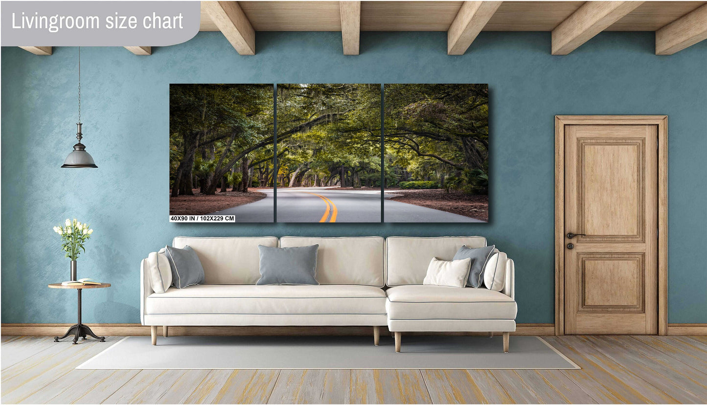 A Drive Through Mossy Sea Pine Forest: Hilton Head Island's Spanish Moss Wall Art Metal Canvas Print South Carolina Nature Photography