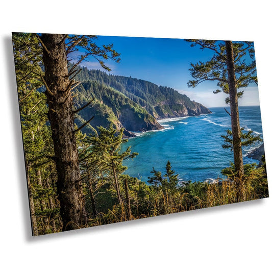 Oregon Evergreens Meet The Pacific: Cape Cove Beach, Heceta Headland Metal Canvas Print Oregon Seascape Wall Art Photography