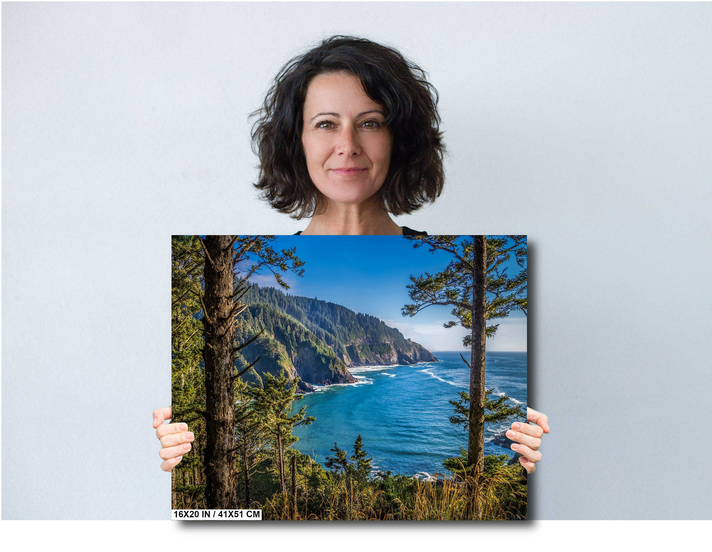 Oregon Evergreens Meet The Pacific: Cape Cove Beach, Heceta Headland Metal Canvas Print Oregon Seascape Wall Art Photography