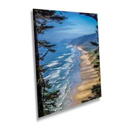 Oregon Shoreline Serenity: Overlook of Hobbit Beach from Forest Canopy Wall Art Metal Canvas Print Florence Oregon Seascape Photography