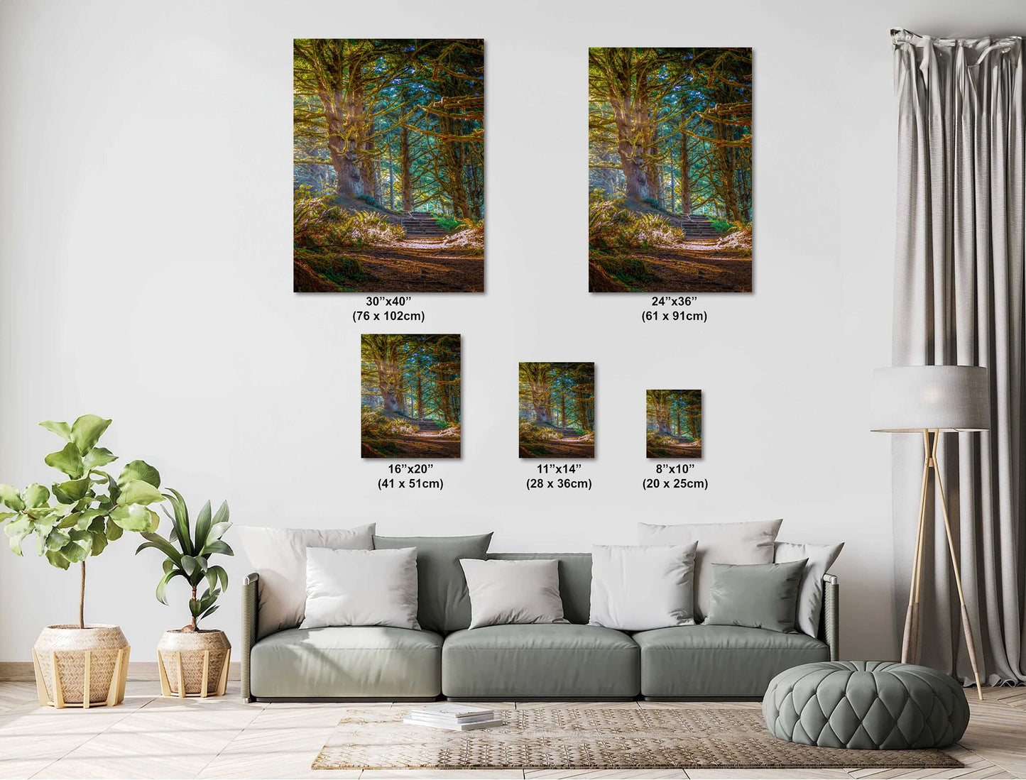 Enchanting Oregon Forest: Sunlight Reflection in Florence Woods Wall Art Metal Acrylic Print Oregon Portrait Photography