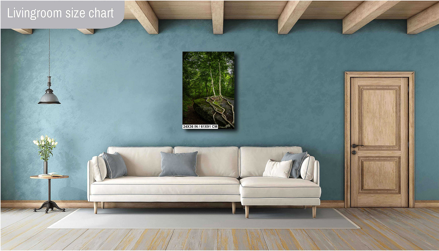 Loving Roots: Scaly Mountain on the Bartram Trail Roots of the Forest Wilderness North Carolina Wall Art Metal Canvas Print Home Decor