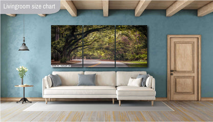 Mossy Motorway: Spanish Moss in Hilton Head Sea Pines Forest South Carolina Wall Art Metal Acrylic Print Nature Photography