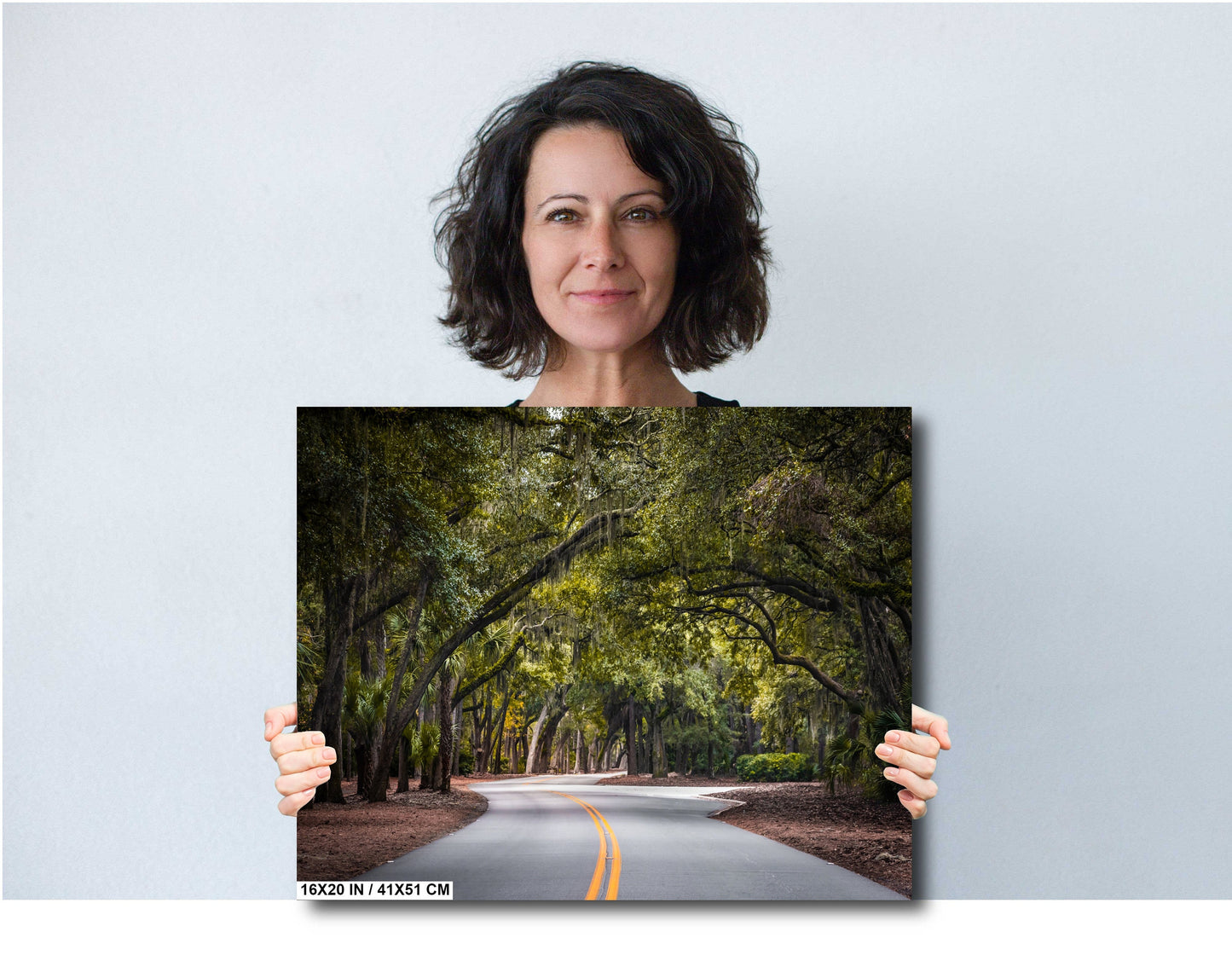 A Drive Through Mossy Sea Pine Forest: Hilton Head Island's Spanish Moss Wall Art Metal Canvas Print South Carolina Nature Photography