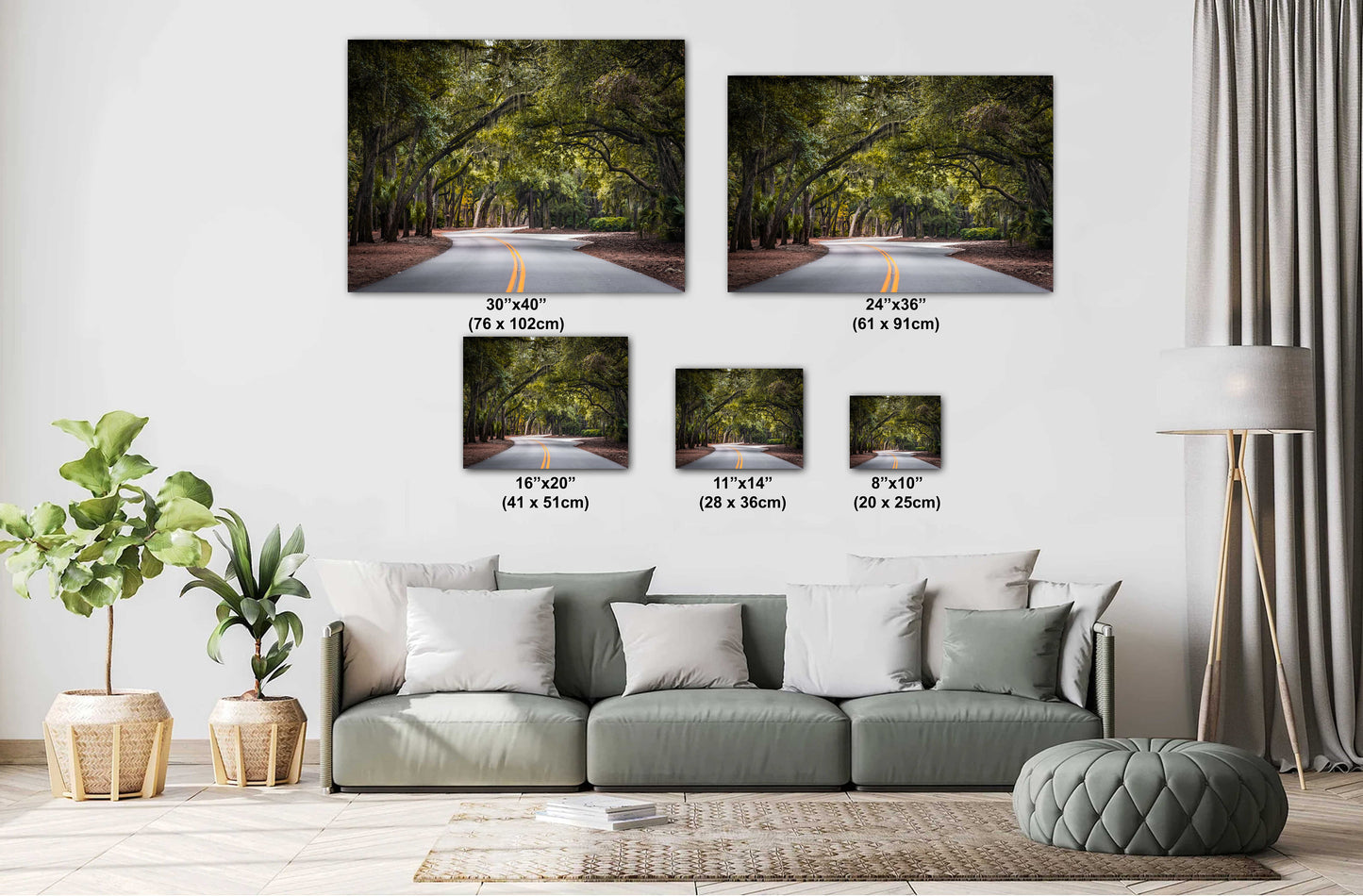 A Drive Through Mossy Sea Pine Forest: Hilton Head Island's Spanish Moss Wall Art Metal Canvas Print South Carolina Nature Photography