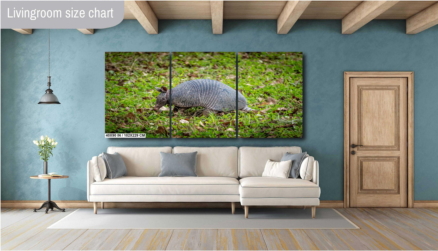 Armadillos of Abbeville: Animal Print Capturing Louisiana’s Unique Wildlife Photography Wall Art Metal/Canvas/Aluminum/Acrylic