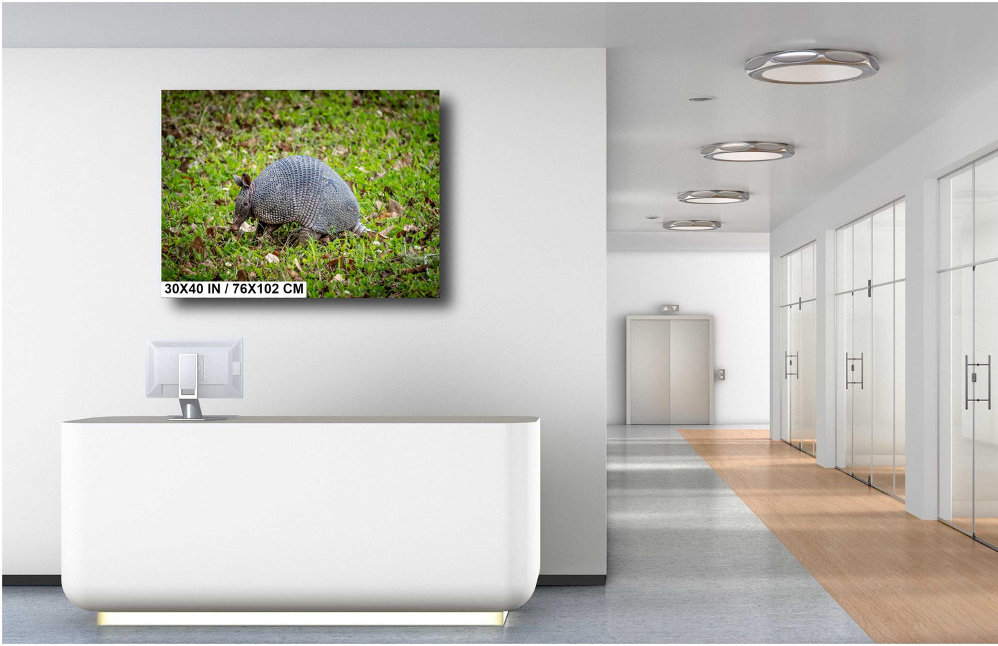 Armadillos of Abbeville: Animal Print Capturing Louisiana’s Unique Wildlife Photography Wall Art Metal/Canvas/Aluminum/Acrylic