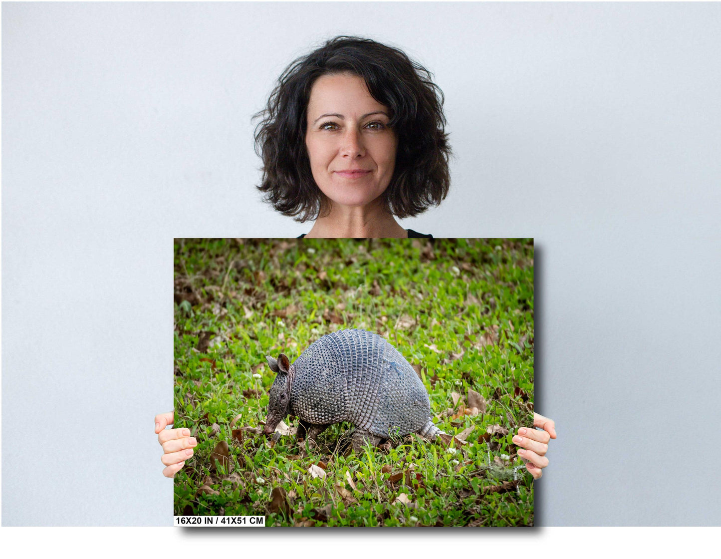 Armadillos of Abbeville: Animal Print Capturing Louisiana’s Unique Wildlife Photography Wall Art Metal/Canvas/Aluminum/Acrylic