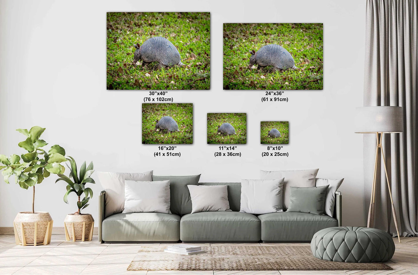 Armadillos of Abbeville: Animal Print Capturing Louisiana’s Unique Wildlife Photography Wall Art Metal/Canvas/Aluminum/Acrylic