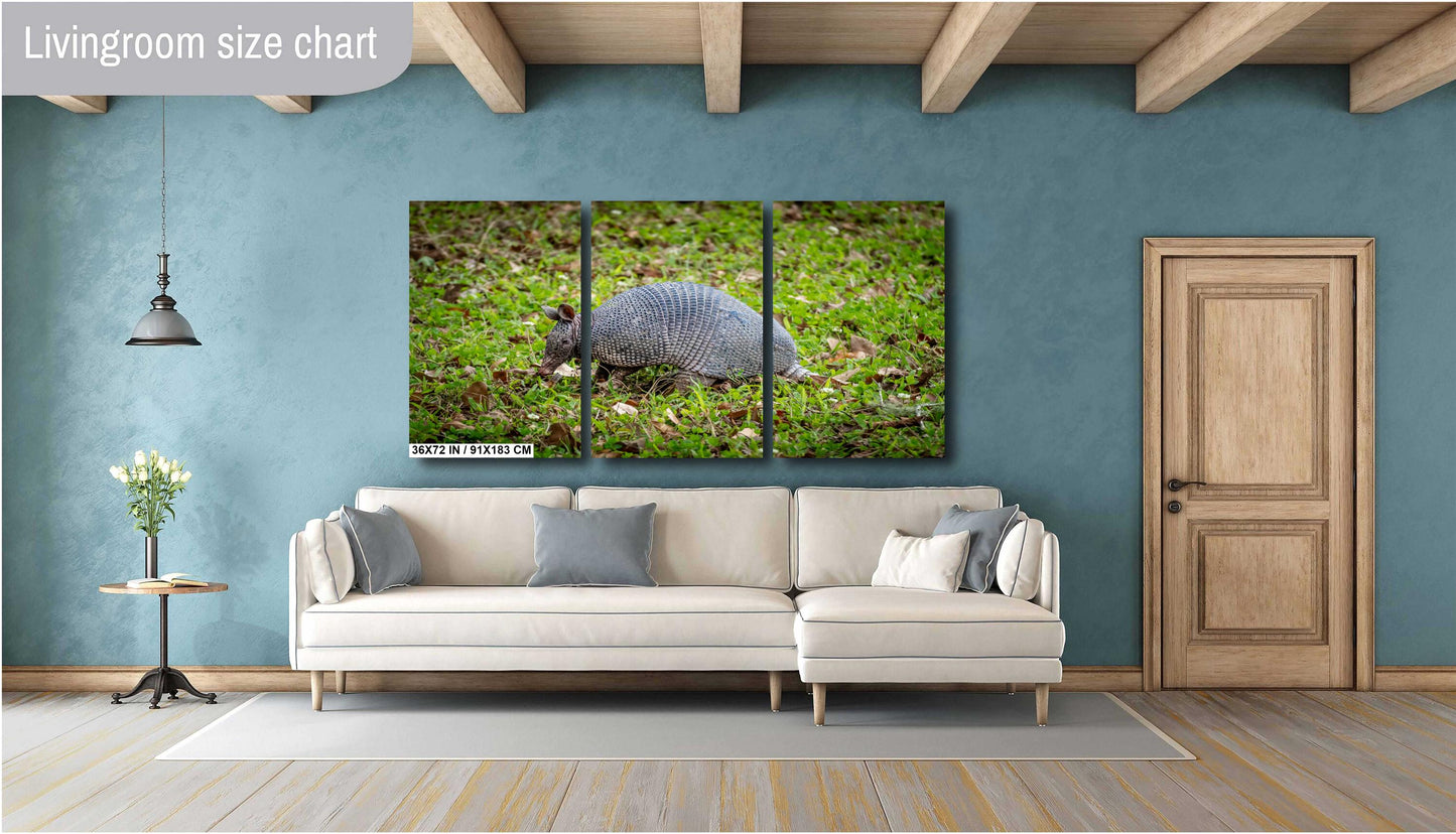 Armadillos of Abbeville: Animal Print Capturing Louisiana’s Unique Wildlife Photography Wall Art Metal/Canvas/Aluminum/Acrylic