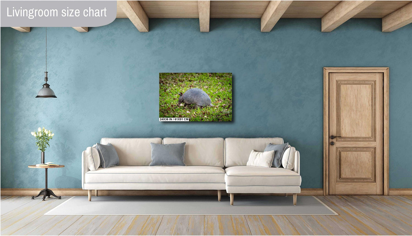 Armadillos of Abbeville: Animal Print Capturing Louisiana’s Unique Wildlife Photography Wall Art Metal/Canvas/Aluminum/Acrylic