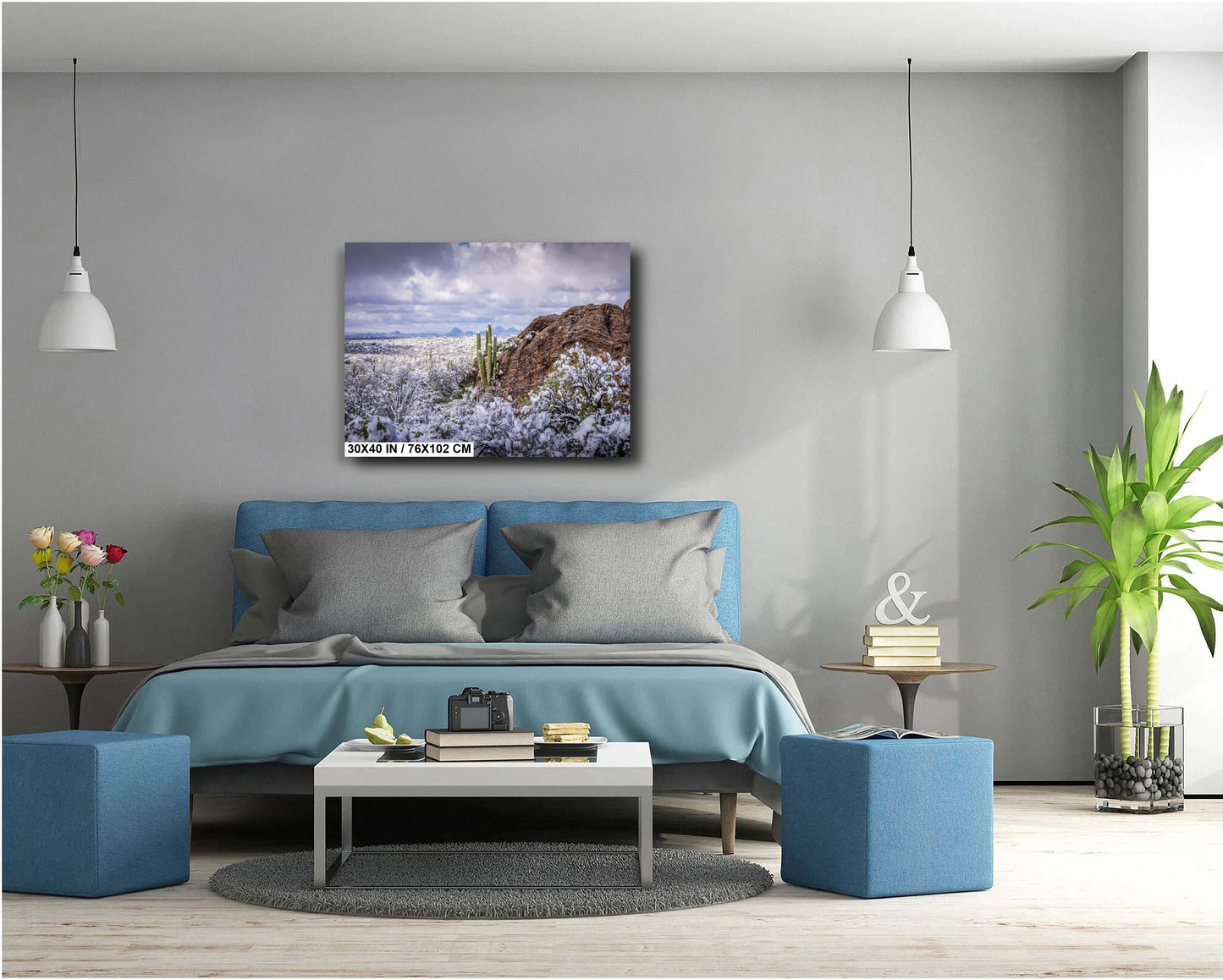 Frozen Desert: The Rare Beauty of Snow in Saguaro National Park Tucson Arizona Print Wall Art Photography Aluminum/Acrylic/Metal/Canvas