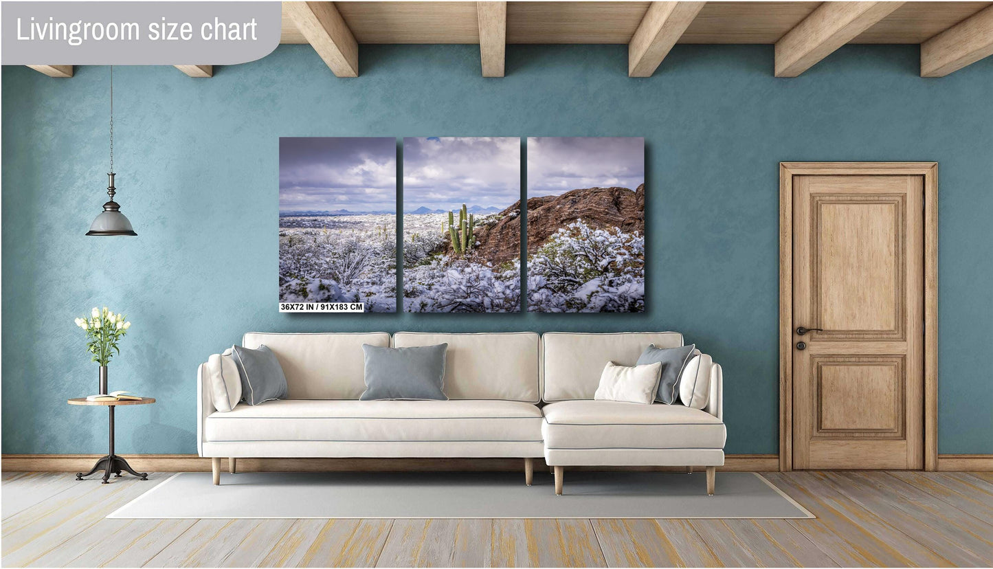 Frozen Desert: The Rare Beauty of Snow in Saguaro National Park Tucson Arizona Print Wall Art Photography Aluminum/Acrylic/Metal/Canvas