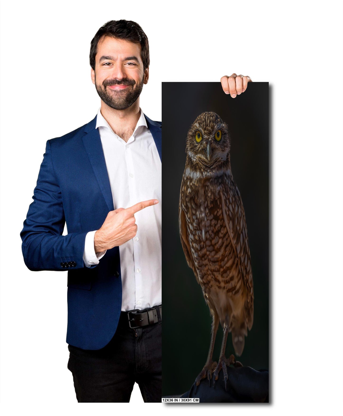 You Lookin’ at Me?: A Burrowing Owl’s Steely Gaze Wall Art Print Bird Photography Portrait Aluminum/Acrylic/Metal/Canvas