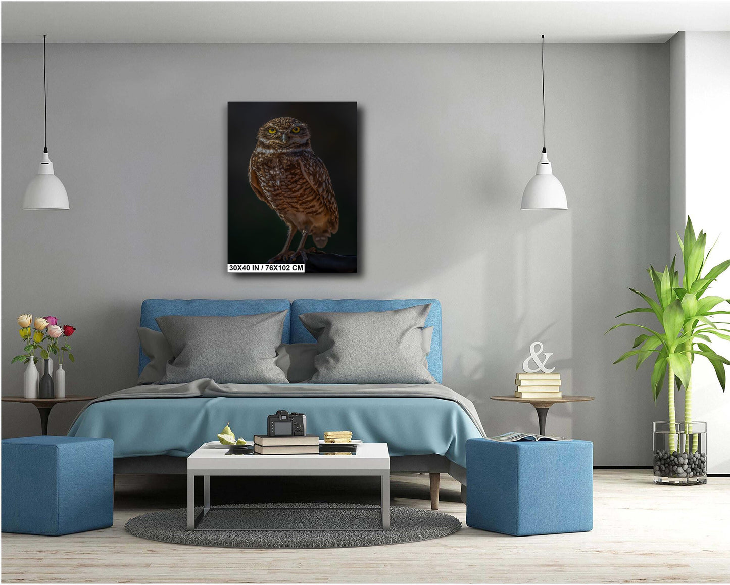 You Lookin’ at Me?: A Burrowing Owl’s Steely Gaze Wall Art Print Bird Photography Portrait Aluminum/Acrylic/Metal/Canvas