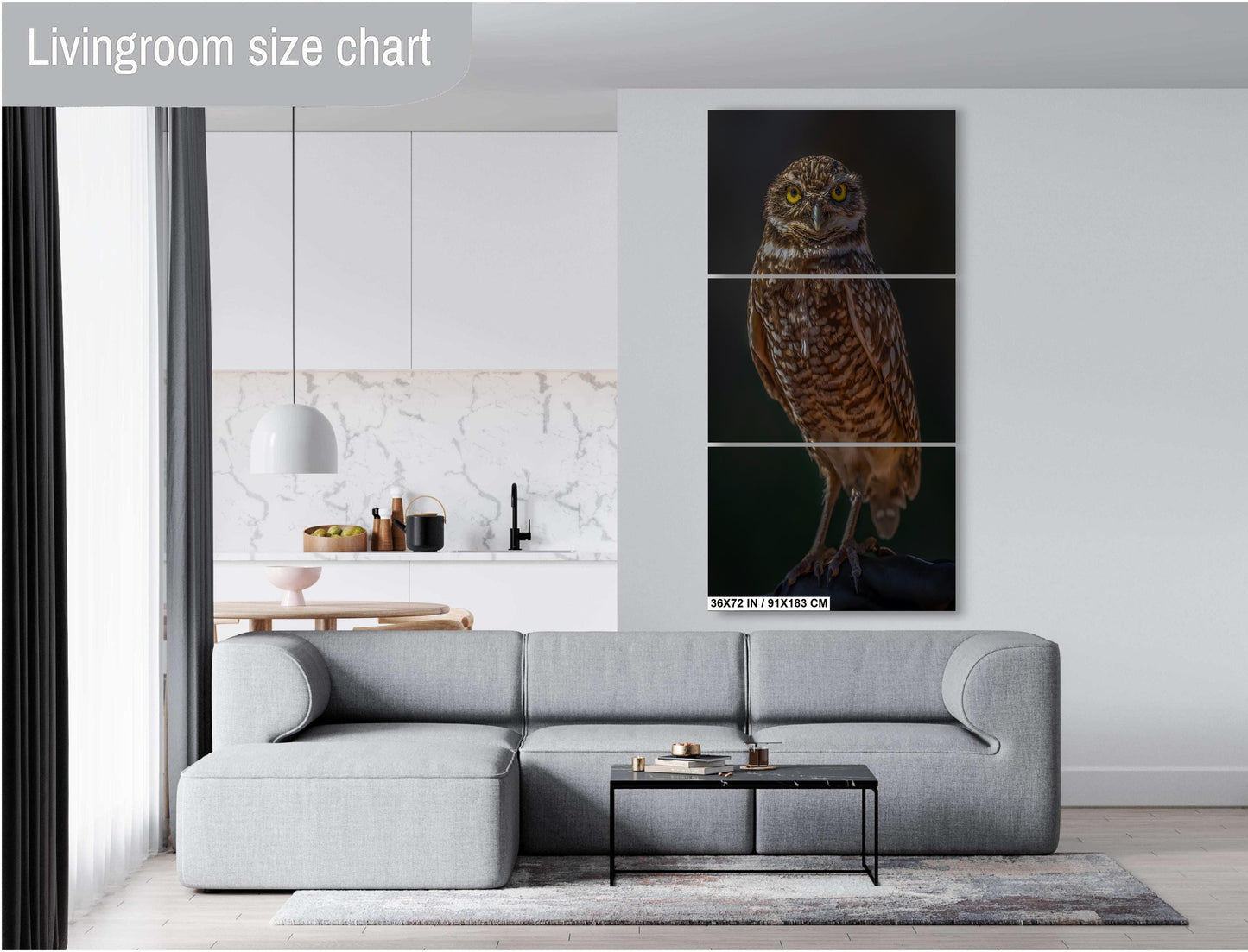 You Lookin’ at Me?: A Burrowing Owl’s Steely Gaze Wall Art Print Bird Photography Portrait Aluminum/Acrylic/Metal/Canvas