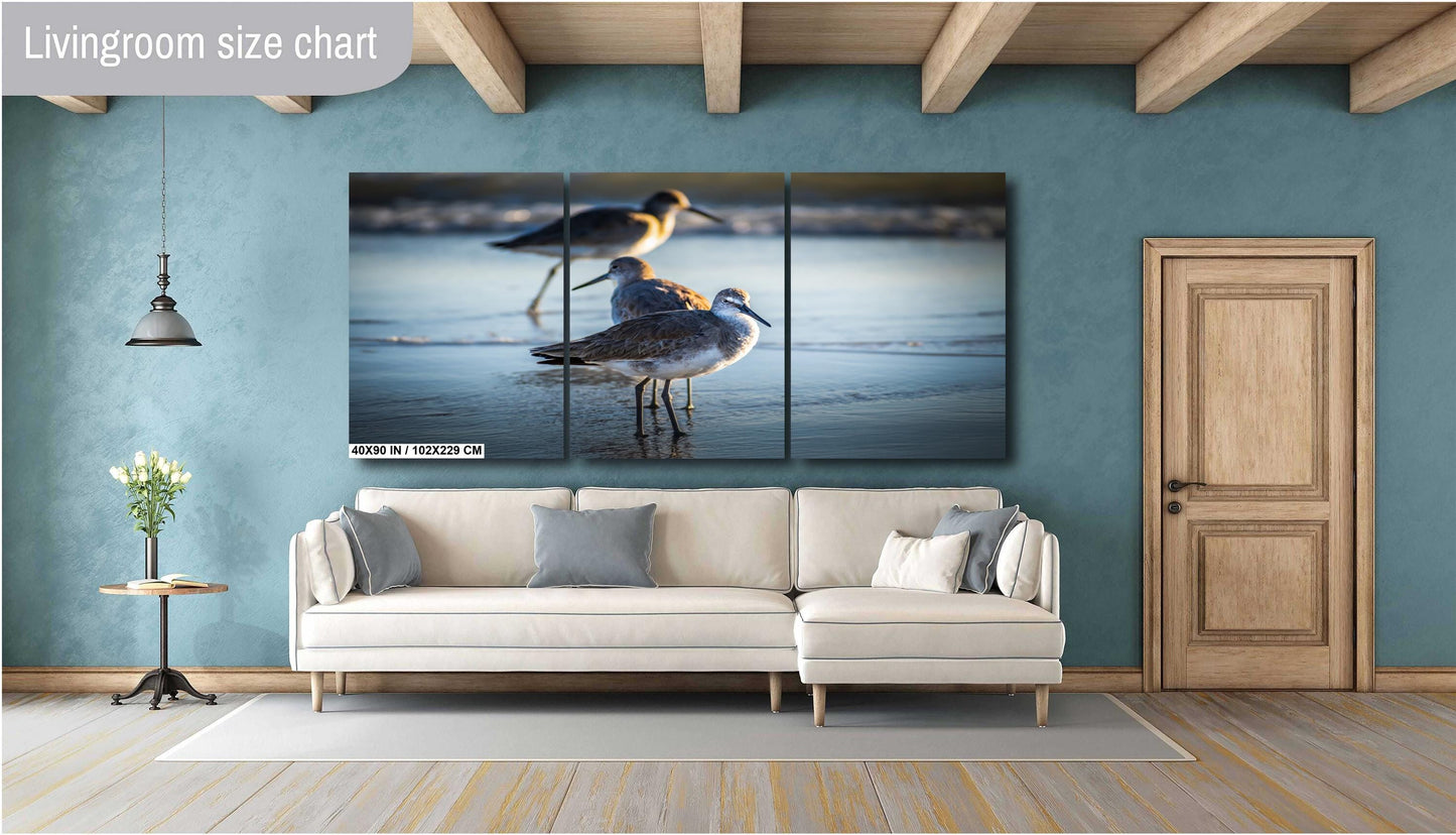 Graceful Willets: Anna Maria Island Coast Florida Wall Art Print Bird Photography Aluminum/Acrylic/Metal/Canvas