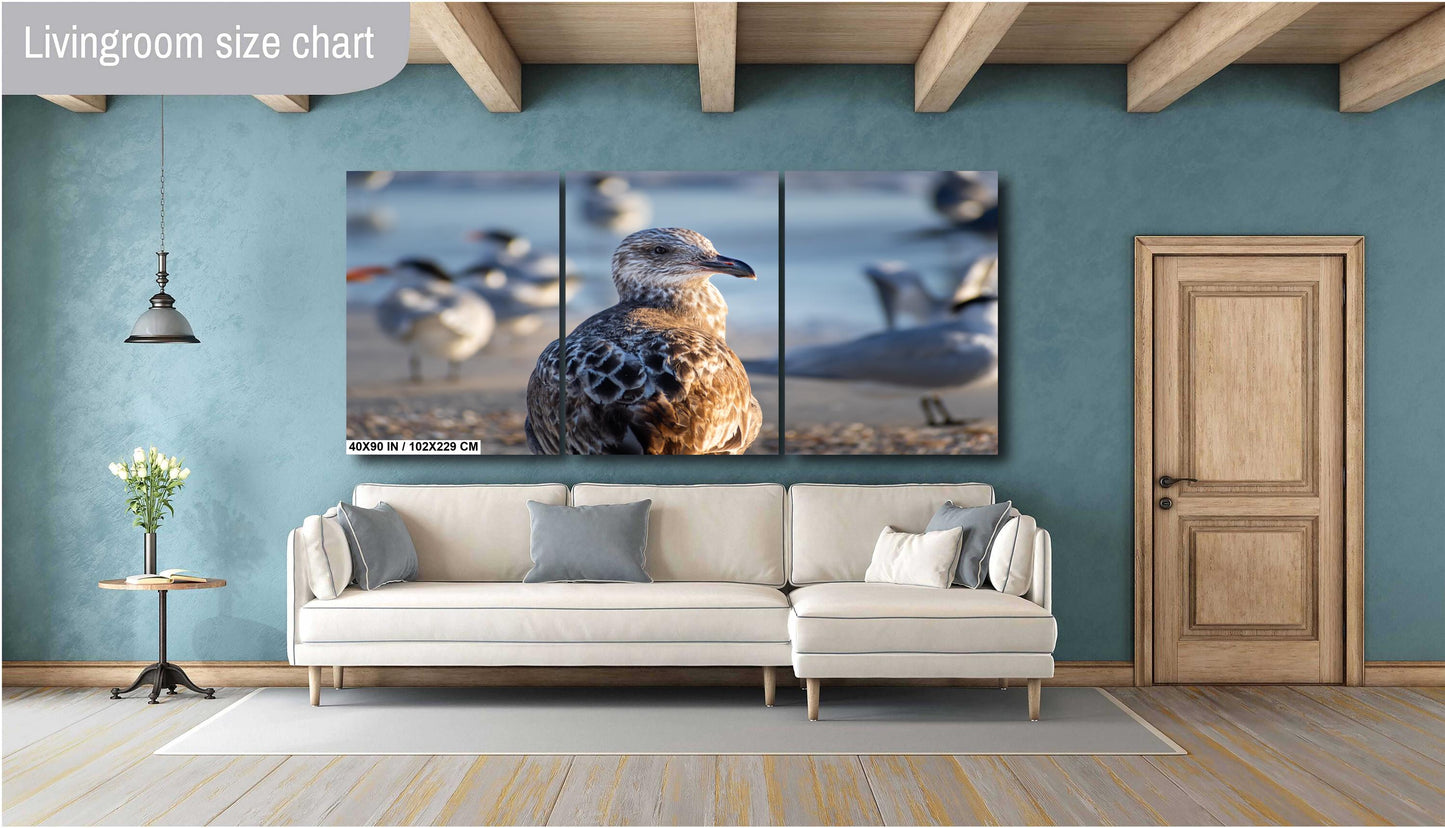 The Lonely She-Gull: Wall Art Print Brown Seagull on Anna Maria Island Florida Coast Bird Photography Aluminum/Acrylic/Metal/Canvas