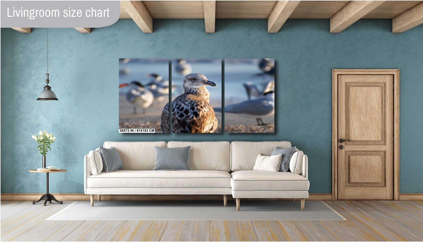 The Lonely She-Gull: Wall Art Print Brown Seagull on Anna Maria Island Florida Coast Bird Photography Aluminum/Acrylic/Metal/Canvas