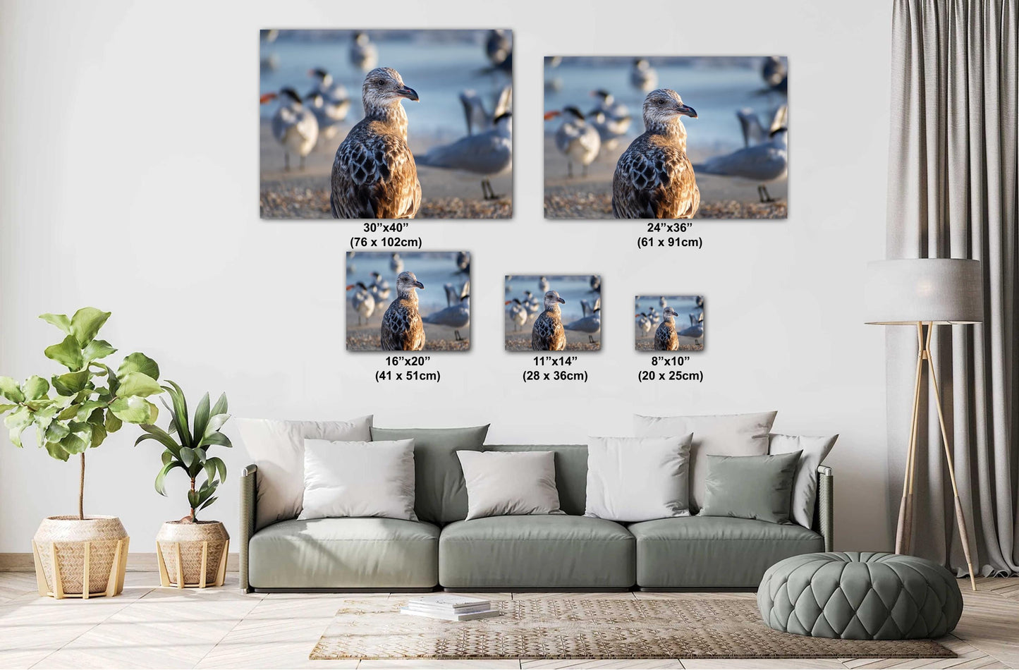 The Lonely She-Gull: Wall Art Print Brown Seagull on Anna Maria Island Florida Coast Bird Photography Aluminum/Acrylic/Metal/Canvas