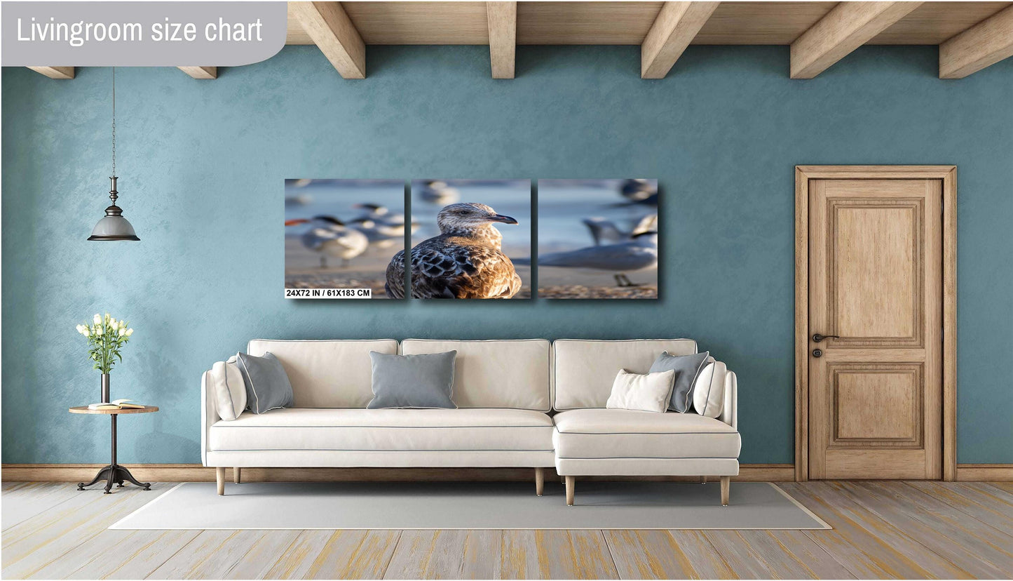 The Lonely She-Gull: Wall Art Print Brown Seagull on Anna Maria Island Florida Coast Bird Photography Aluminum/Acrylic/Metal/Canvas