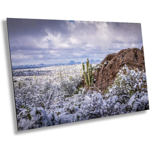 Frozen Desert: The Rare Beauty of Snow in Saguaro National Park Tucson Arizona Print Wall Art Photography Aluminum/Acrylic/Metal/Canvas