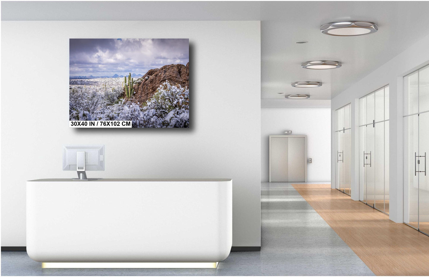 Frozen Desert: The Rare Beauty of Snow in Saguaro National Park Tucson Arizona Print Wall Art Photography Aluminum/Acrylic/Metal/Canvas