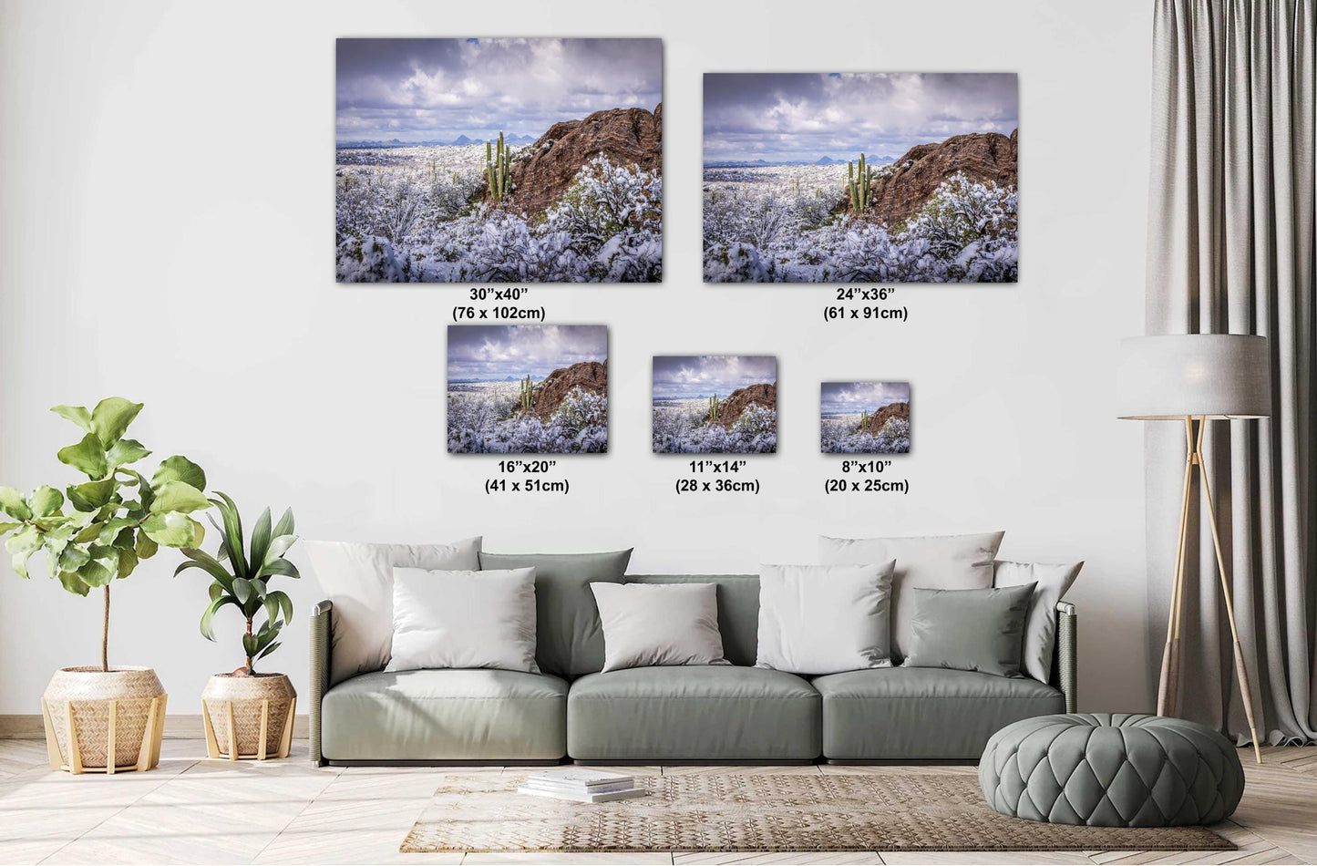 Frozen Desert: The Rare Beauty of Snow in Saguaro National Park Tucson Arizona Print Wall Art Photography Aluminum/Acrylic/Metal/Canvas