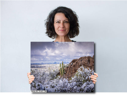 Frozen Desert: The Rare Beauty of Snow in Saguaro National Park Tucson Arizona Print Wall Art Photography Aluminum/Acrylic/Metal/Canvas